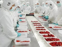 四川廚房設備生產廠家告訴你如何解決中央廚房配送問題