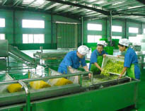 四川中央廚房設備廠家詳解中央廚房的分區要自己設計注意事項