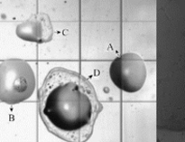 大型單位食堂廚房設備生產廠家教你油煙污染常識